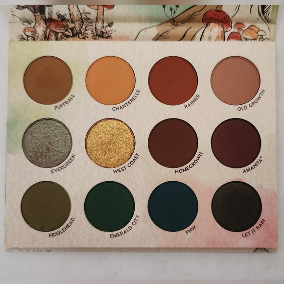 ColourPop x RAW BEAUTY Kristi AT FOREST SIGHT Eyeshadow Palette Matte Shimmer - Picture 3 of 4